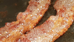 Bacon